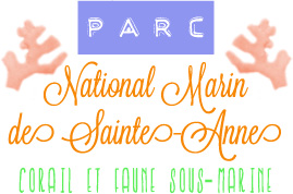 Parc National Marin de Sainte-Anne