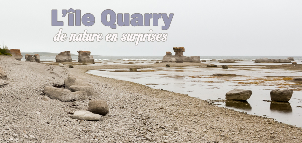 L'île Quarry