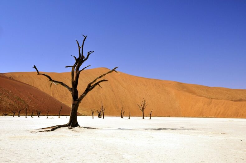 Voyage Namibie
