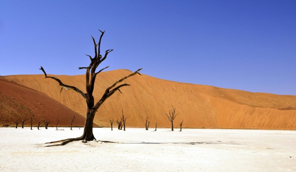 Voyage Namibie