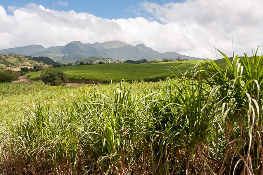 partir Guadeloupe